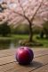 Japanese Plum Parfümöl -- Traumhaftes Duftvergnügen   -- Für weitere Informationen anklicken